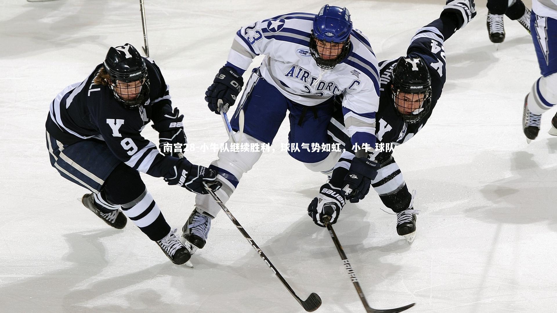 小牛队继续胜利,球队气势如虹,小牛 球队