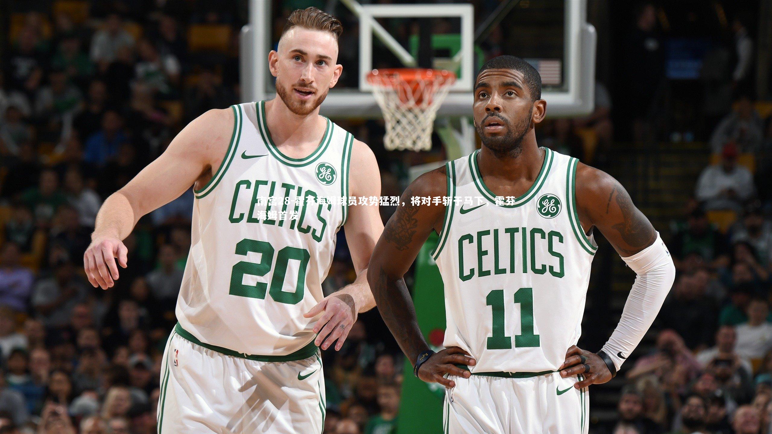 霍芬海姆球员攻势猛烈，将对手斩于马下，霍芬海姆首发